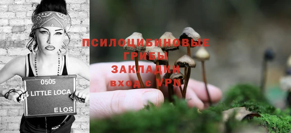 таблы Козельск