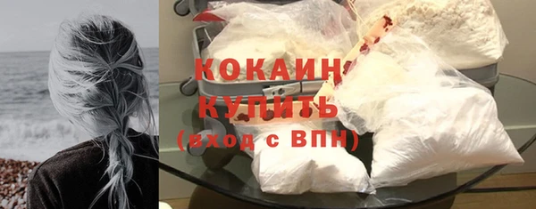 прущие грибы Козловка