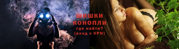 прущие грибы Козловка