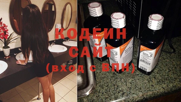 прущие грибы Козловка
