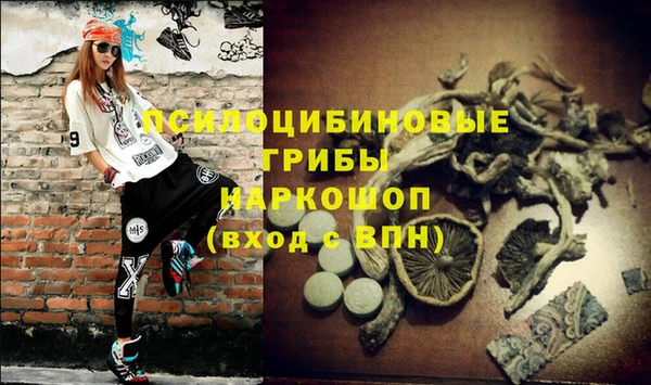 прущие грибы Козловка