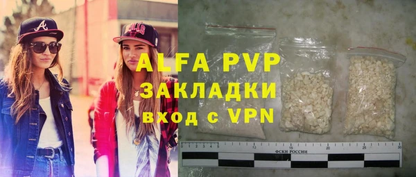 прущие грибы Козловка
