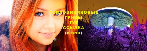 таблы Козельск
