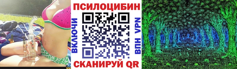 Галлюциногенные грибы Cubensis  Купить  Правдинск 
